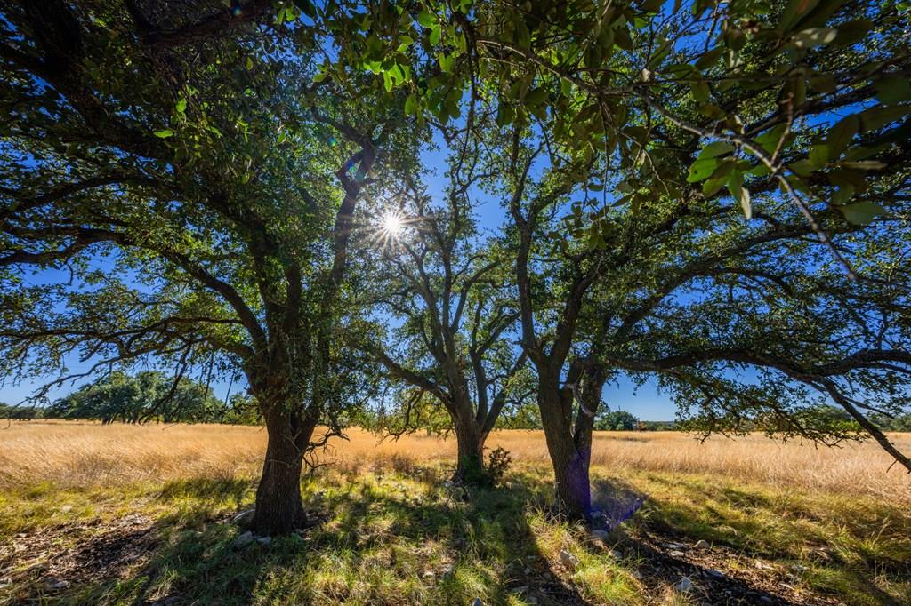 18 Legacy Oaks Drive Harper TX 78631