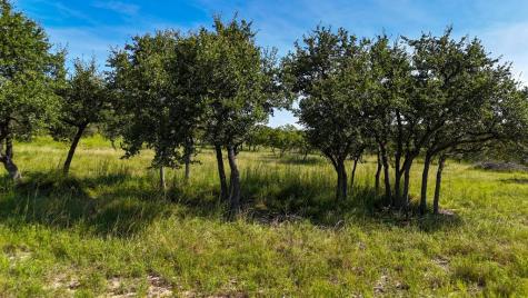 1215 Montell Road Wimberley TX 78676