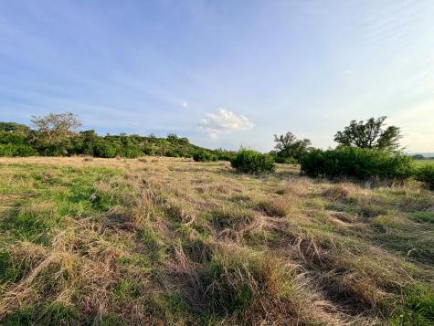 Lot 13 N Spies Ridge Drive Fredericksburg TX 78624