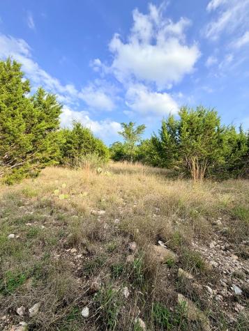 Lot 13 N Spies Ridge Drive Fredericksburg TX 78624