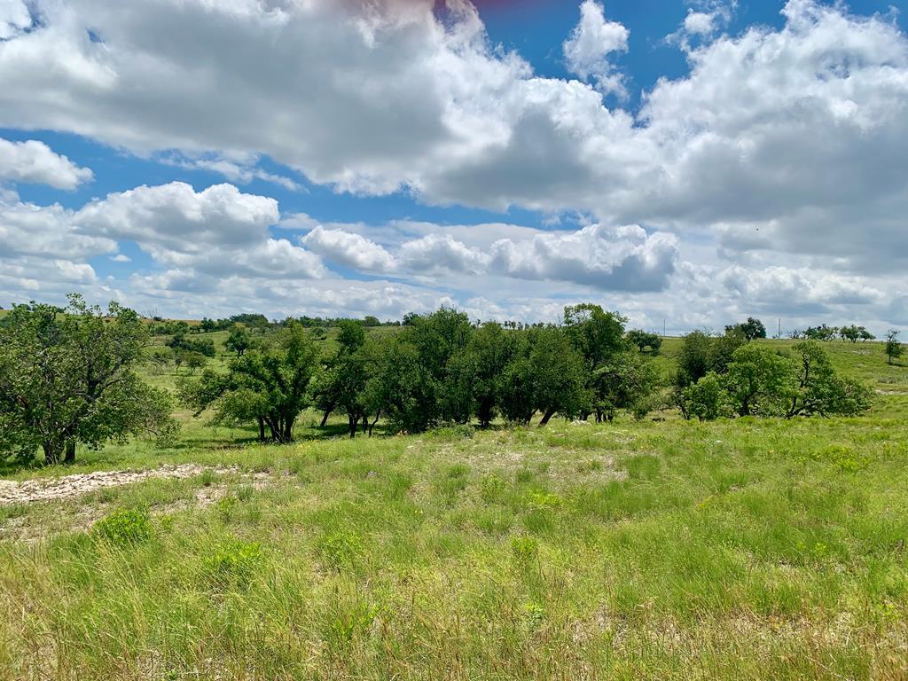 Lot 14 Badger Ridge Road Fredericksburg TX 78624