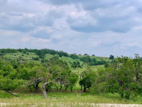 Lot 14 Badger Ridge Road Fredericksburg TX 78624