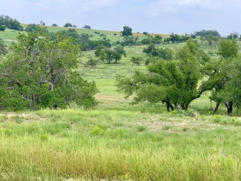 Lot 14 Badger Ridge Road Fredericksburg TX 78624