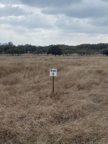 Lot 3 Legacy Oaks Drive Harper TX 78631
