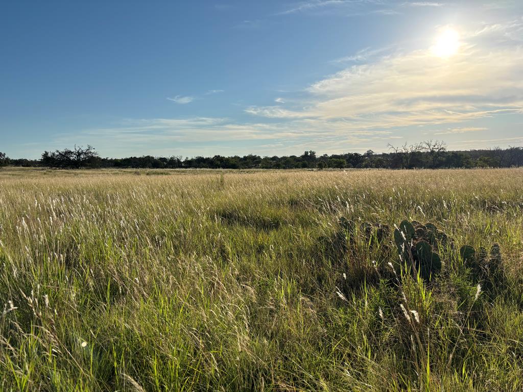 183 Lipan Loop Harper TX 78631