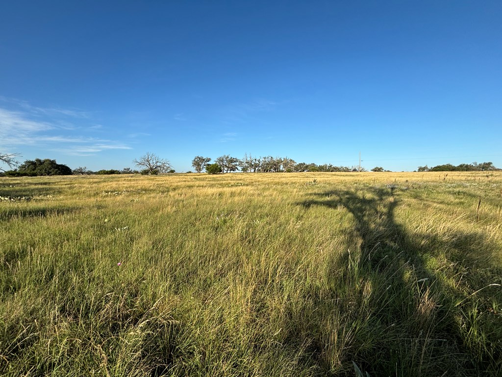 183 Lipan Loop Harper TX 78631
