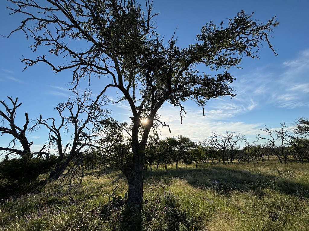 183 Lipan Loop Harper TX 78631