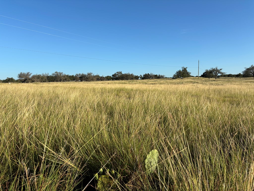 183 Lipan Loop Harper TX 78631