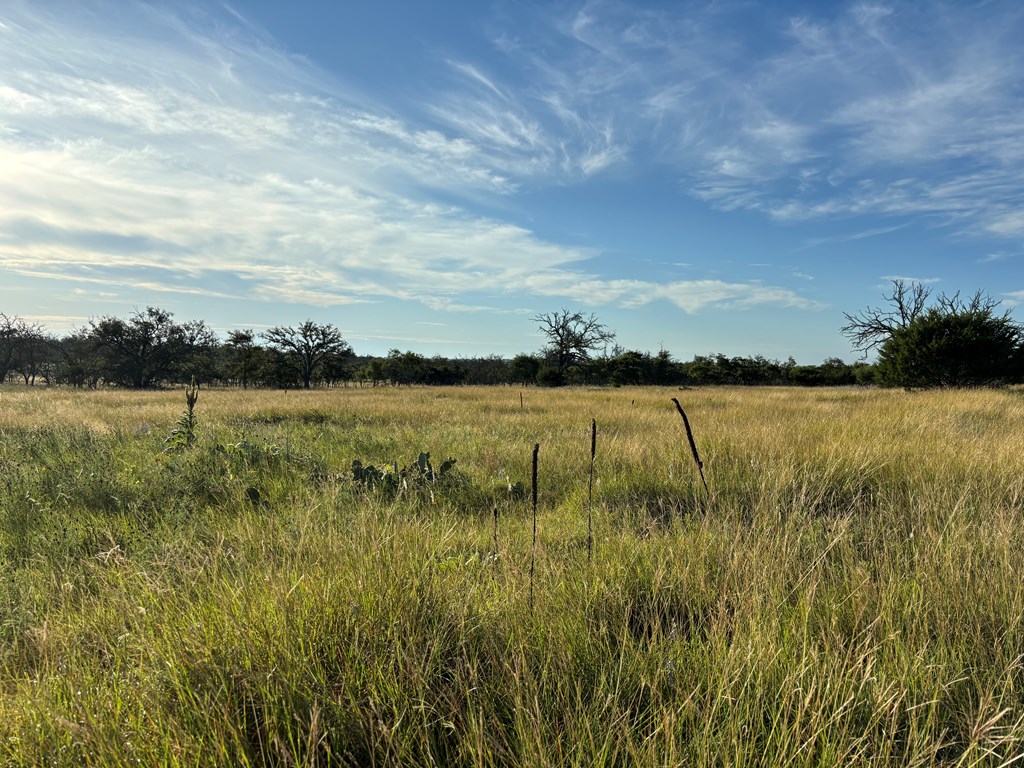 183 Lipan Loop Harper TX 78631