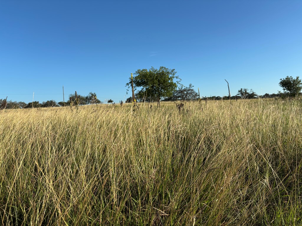 183 Lipan Loop Harper TX 78631