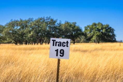 1357 Legacy Oaks Drive Harper TX 78631