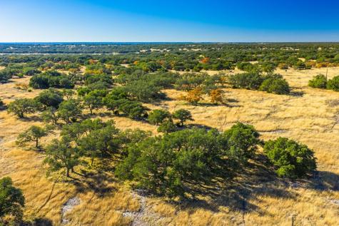 1357 Legacy Oaks Drive Harper TX 78631