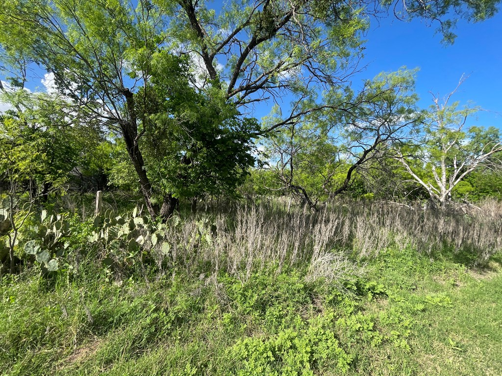 410 Pecan Street Menard TX 76859