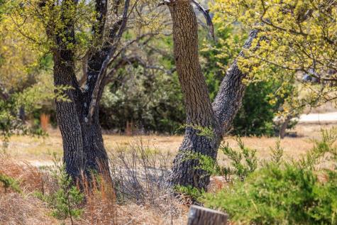 365 Lazy Hills Drive Fredericksburg TX 78624