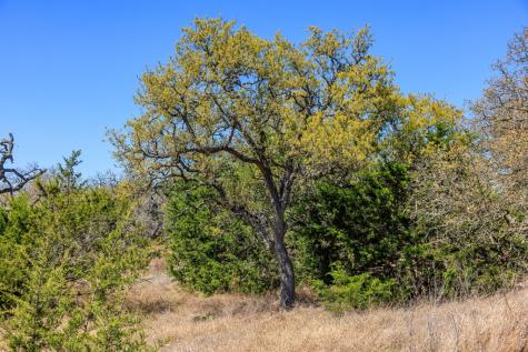 365 Lazy Hills Drive Fredericksburg TX 78624