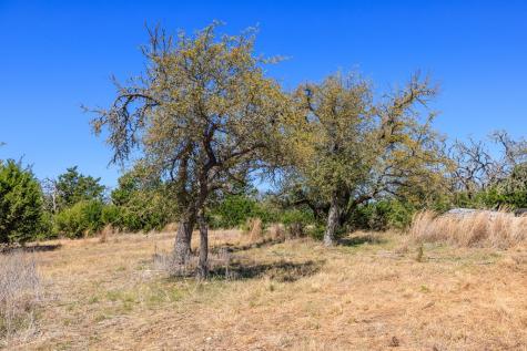 365 Lazy Hills Drive Fredericksburg TX 78624