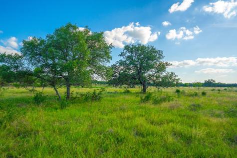 Tract 13 Wine Trail Drive Johnson City TX 78636