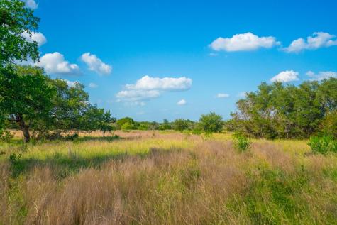 Tract 13 Wine Trail Drive Johnson City TX 78636