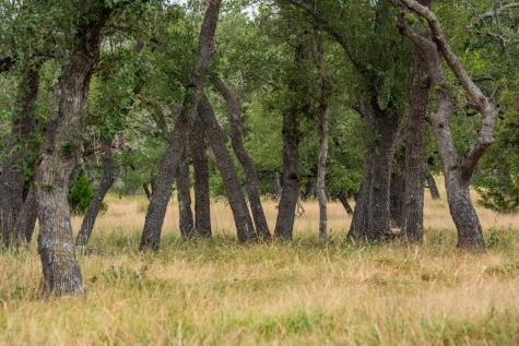 Lot 33 Nott Branch Road Harper TX 78631