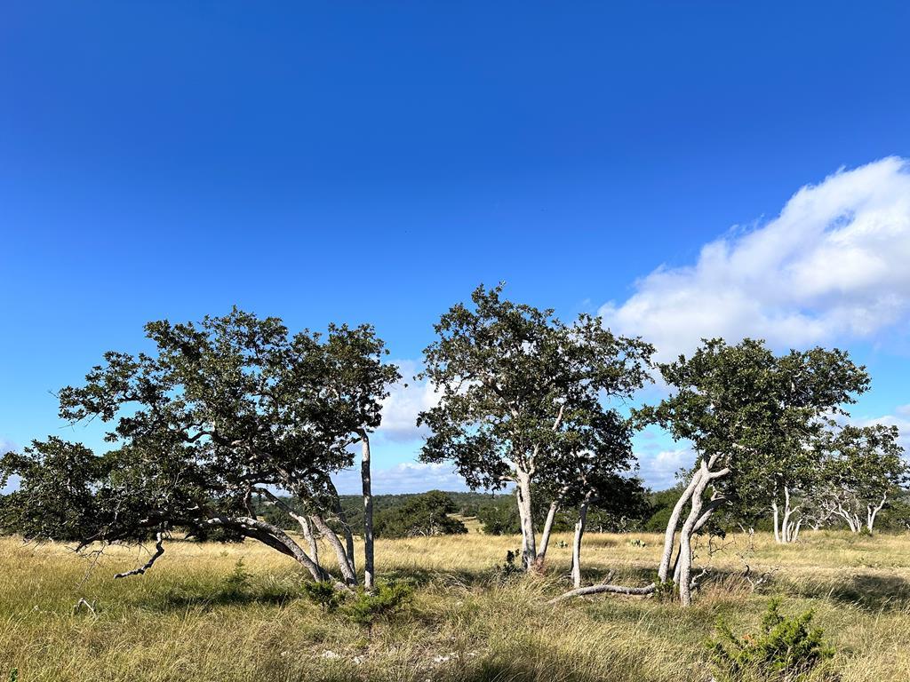 Lot 41 Buckskin Path Fredericksburg TX 78624