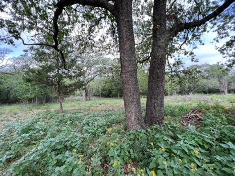 510 W Walch Avenue Fredericksburg TX 78624