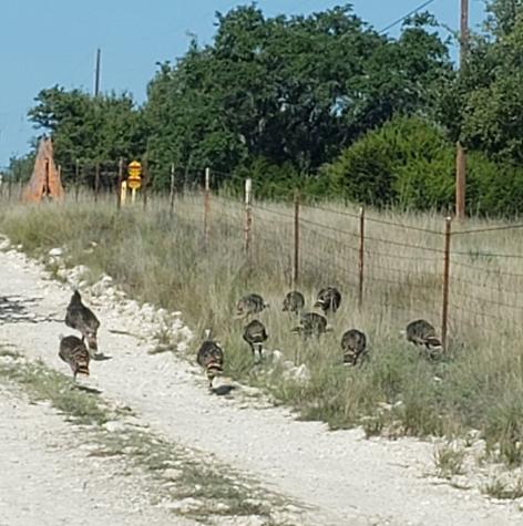 932 Shin Oak Junction TX 76849
