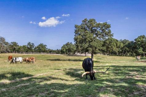 451 Achtzehn Road Fredericksburg TX 78624