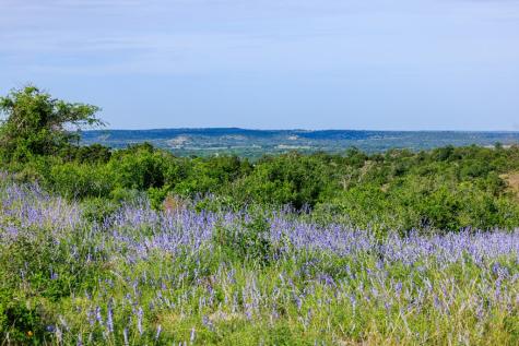 Lot 5 S Cielo Vista Court Fredericksburg TX 78624