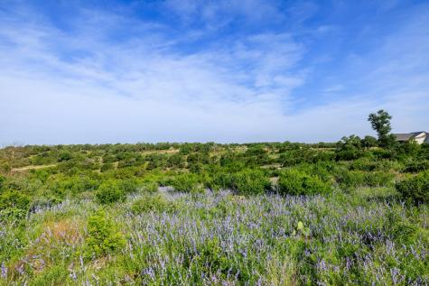 Lot 5 S Cielo Vista Court Fredericksburg TX 78624