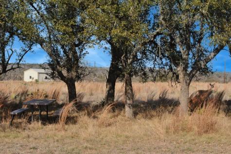 1101 Dreamcatcher Lane Fredericksburg TX 78631