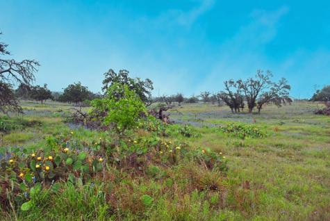 1101 Dreamcatcher Lane Fredericksburg TX 78631