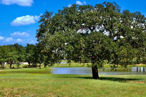 227 Interlaken Street Fredericksburg TX 78624