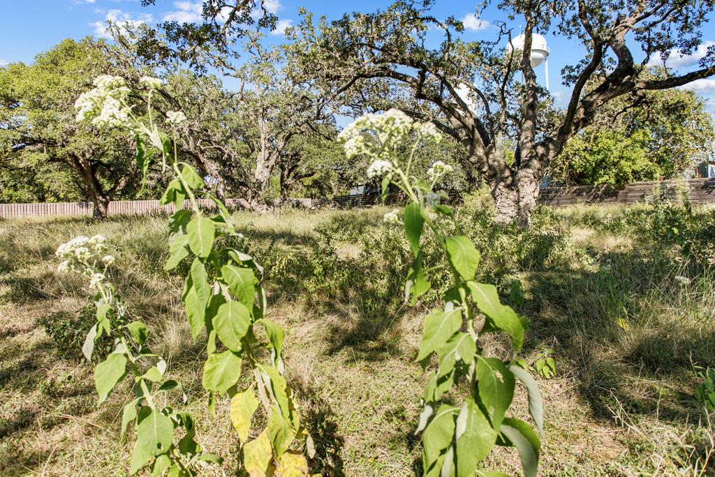 Blanco TX 78606