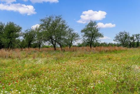 100 Slate Rock Road Willow City TX 78675