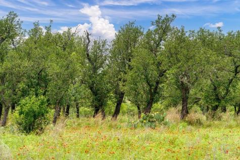 100 Slate Rock Road Willow City TX 78675