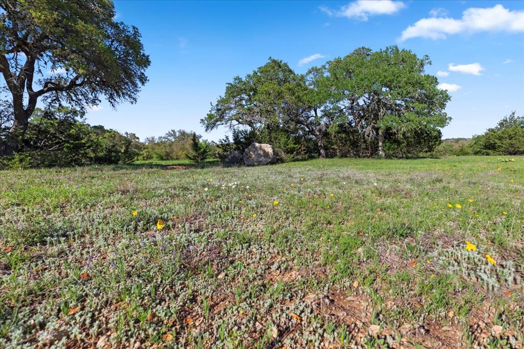 327 S Calvin Barrett Blanco TX 78606