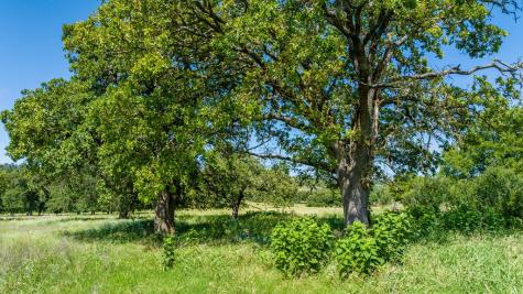 328 Lehne Lane Fredericksburg TX 78624
