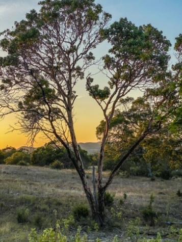 Lot 57 Red Stag Lane Pipe Creek TX 78063