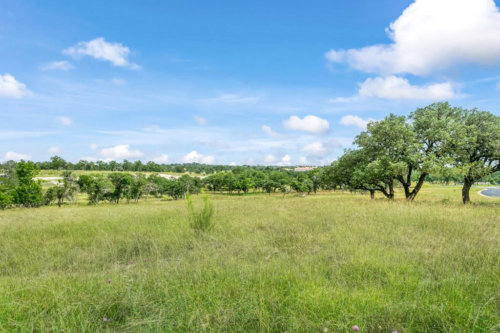 120 Crepe Myrtle Court Fredericksburg TX 78624