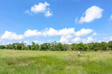 120 Crepe Myrtle Court Fredericksburg TX 78624