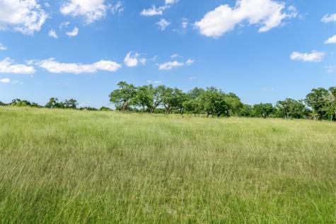 120 Crepe Myrtle Court Fredericksburg TX 78624
