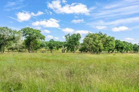 120 Crepe Myrtle Court Fredericksburg TX 78624