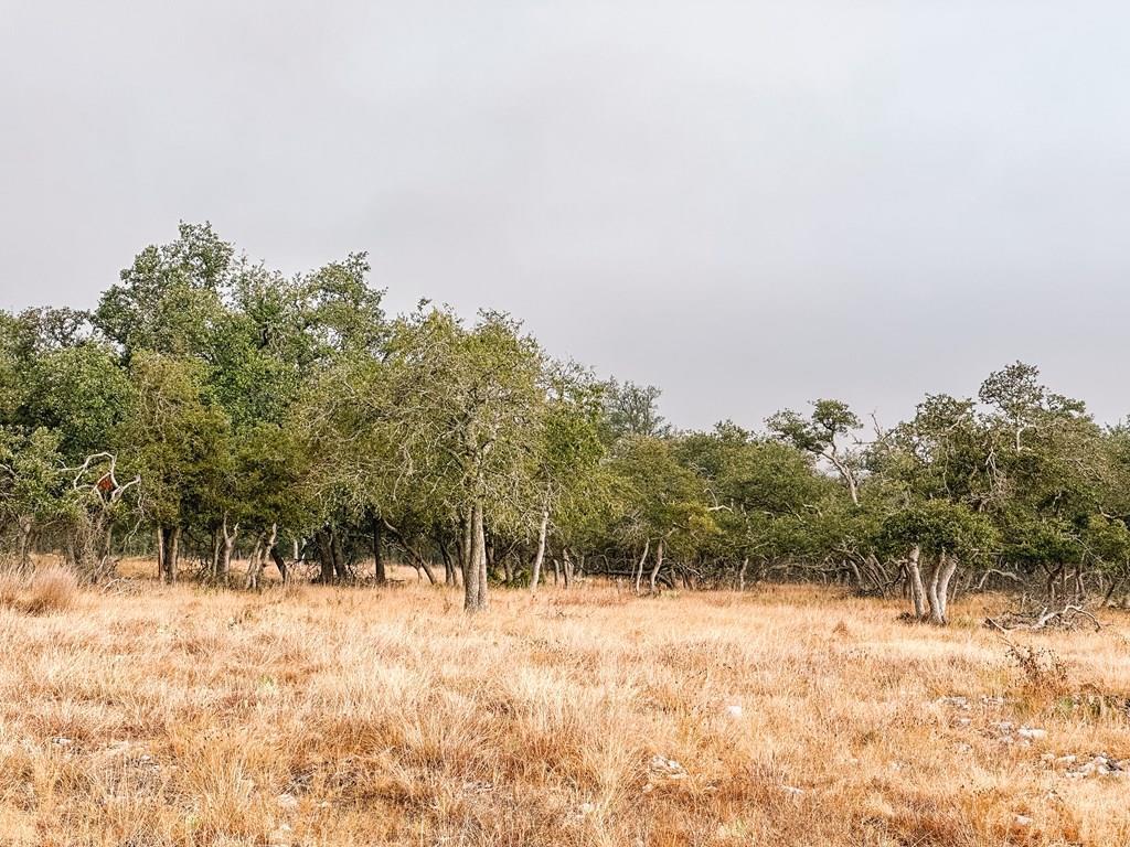 Lot 35 Nott Branch Road Harper TX 78631