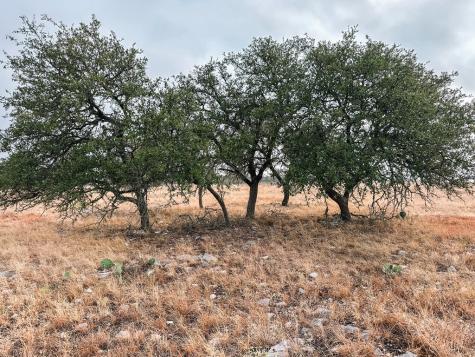 Lot 35 Nott Branch Road Harper TX 78631