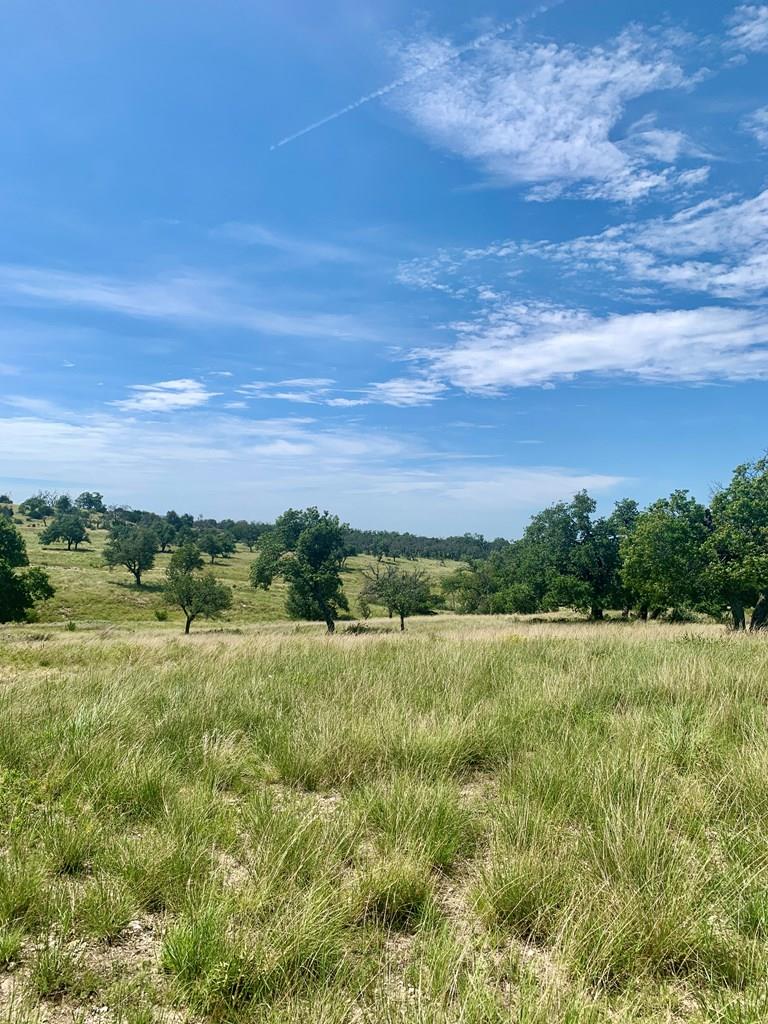 Fredericksburg TX 78624