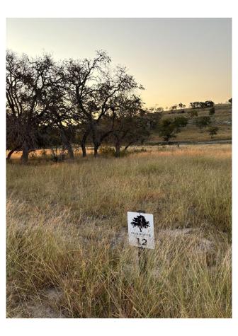 Lot 12 Pinnacle Drive Fredericksburg TX 78624