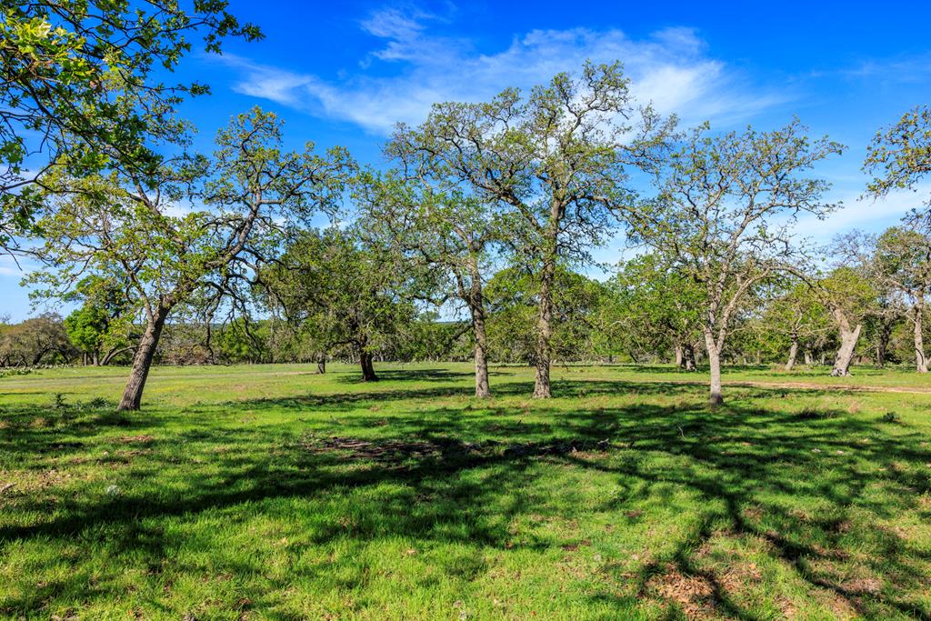 257 Dally Road Fredericksburg TX 78624