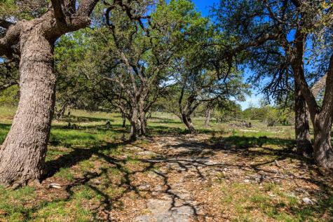 257 Dally Road Fredericksburg TX 78624