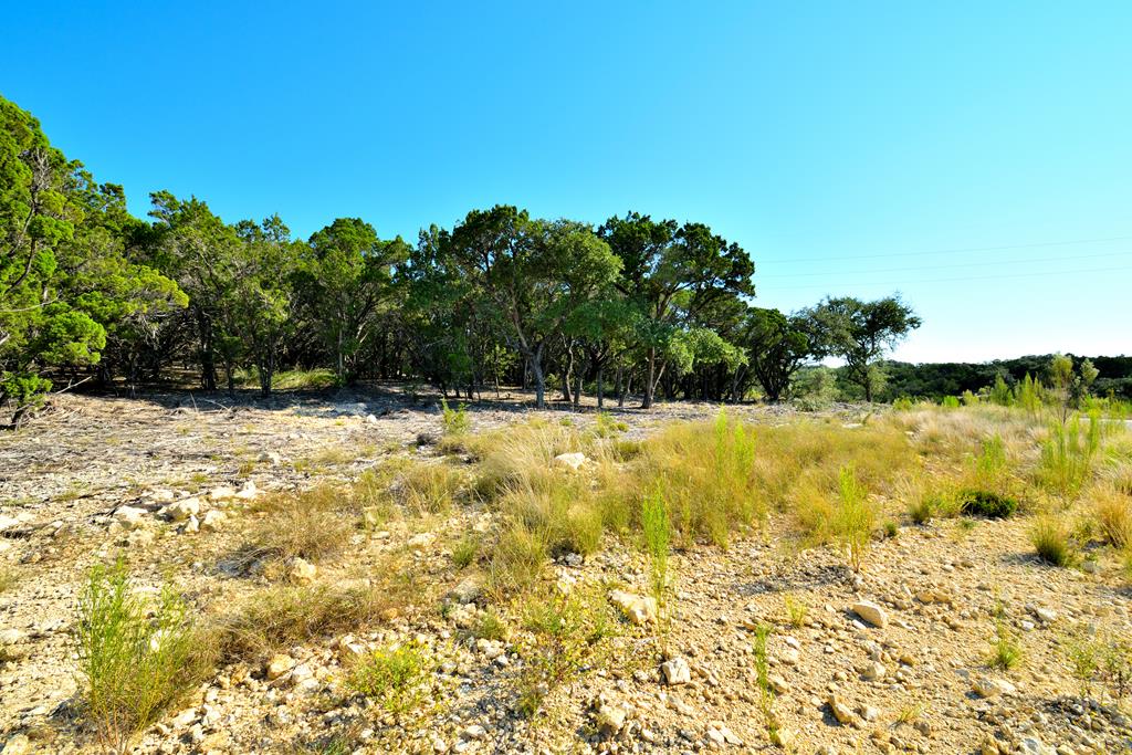 Lot 8 Private Road 1708 Mico TX 78056