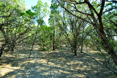 Lot 8 Private Road 1708 Mico TX 78056